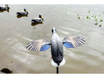 Mojo King Mallard Drakes Decoy HW2520