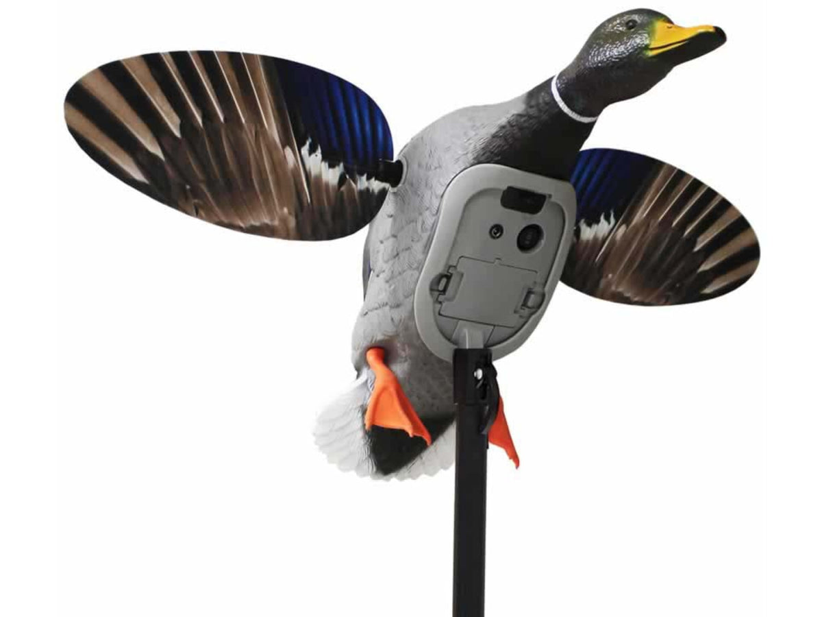 Mojo King Mallard Drakes Decoy HW2520