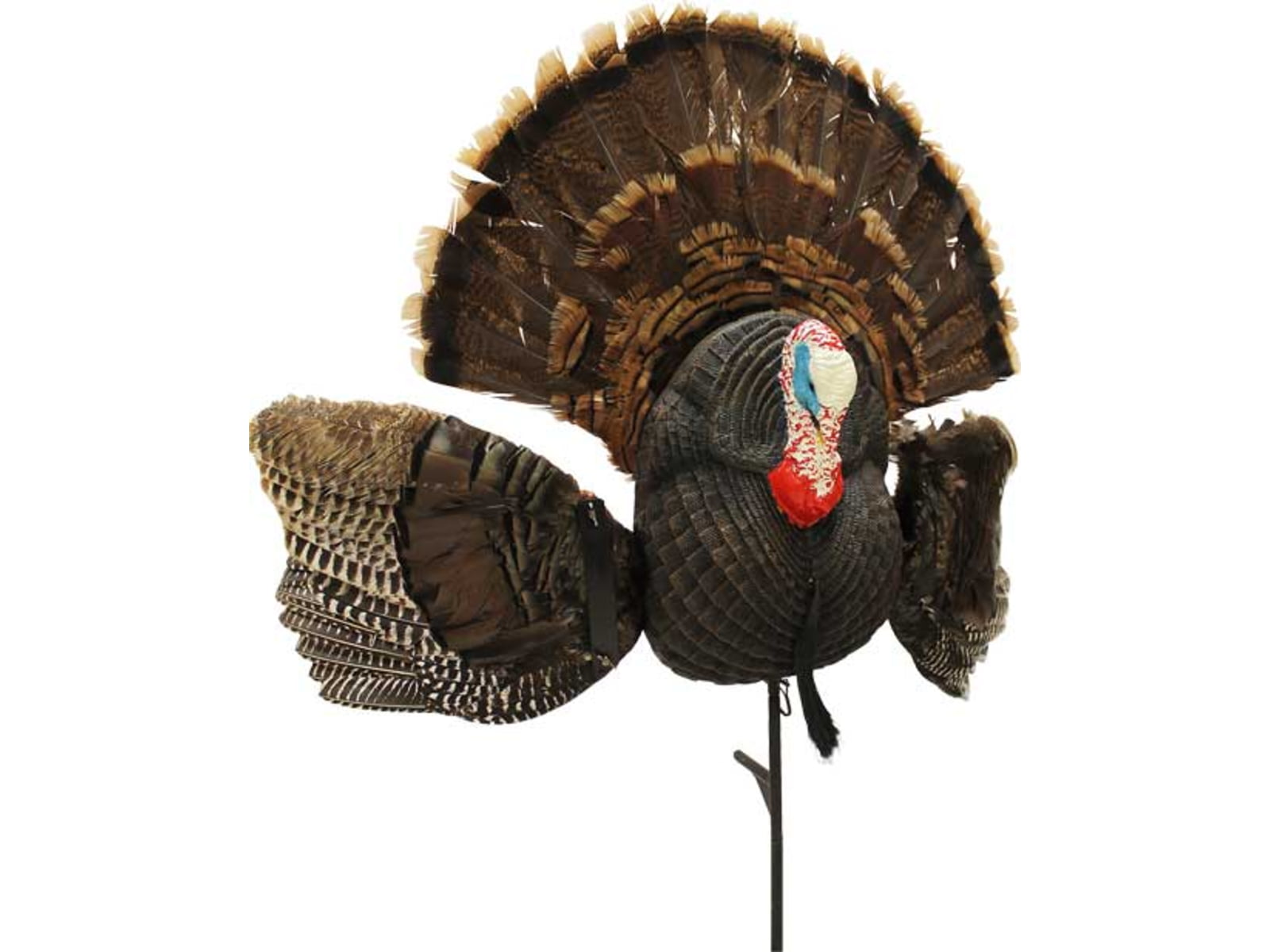 Mojo Scoot N Shoot Max Turkey Decoy