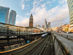 Moment M-Series Fisheye 14mm Lens Black