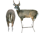 Montana Decoy Co. Spikeler Whitetail Buck and Doe Combo 0063