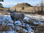 Montana Decoy Co. Muley Buck Decoy Multi 49