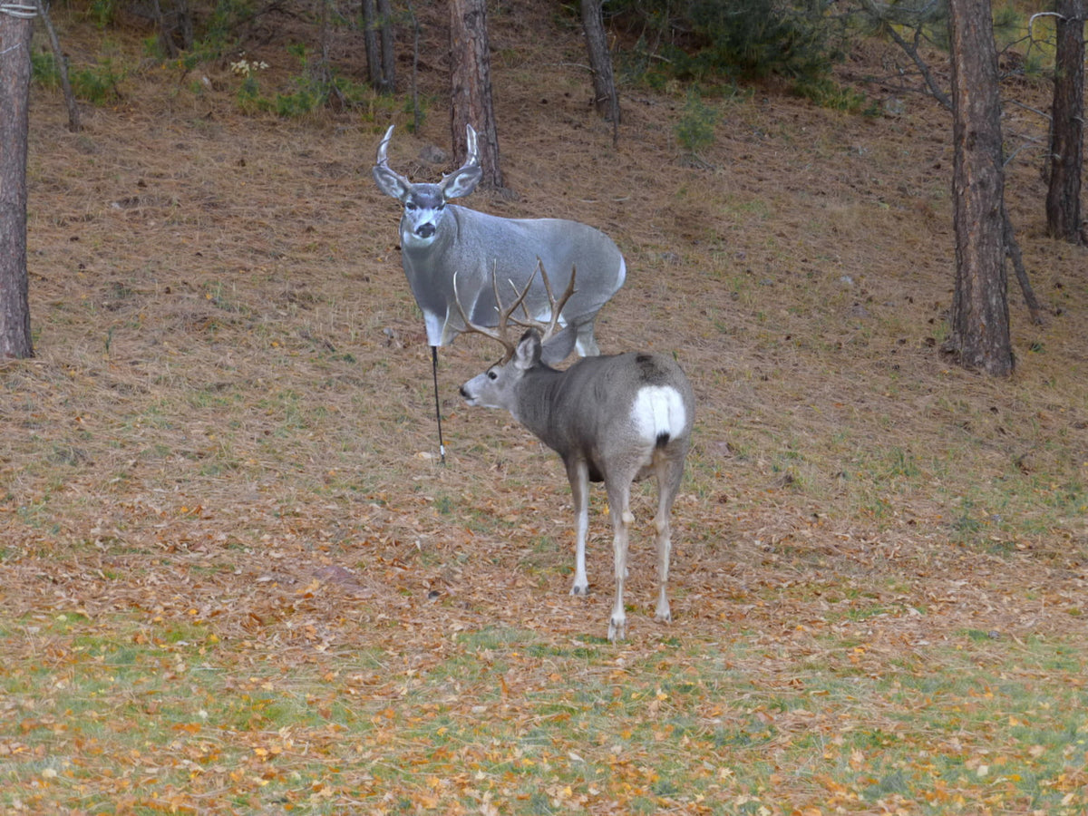 Montana Decoy Co. Muley Buck Decoy Multi 49