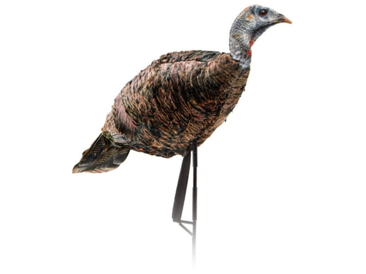 Montana Decoy Co. Purr-Fect Pair XD Decoy Combo Multi 86