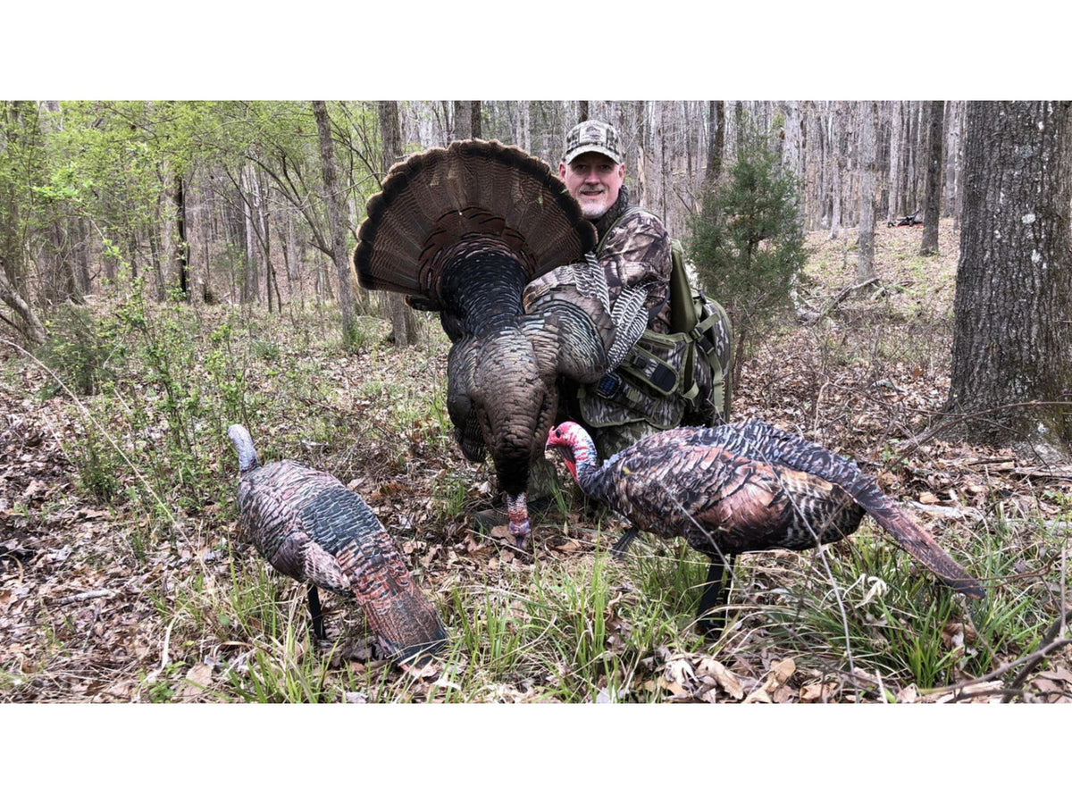 Montana Decoy Co. Purr-Fect Pair XD Decoy Combo Multi 86