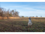 Montana Decoy Co. Sitting Coyote Decoy Multi 48