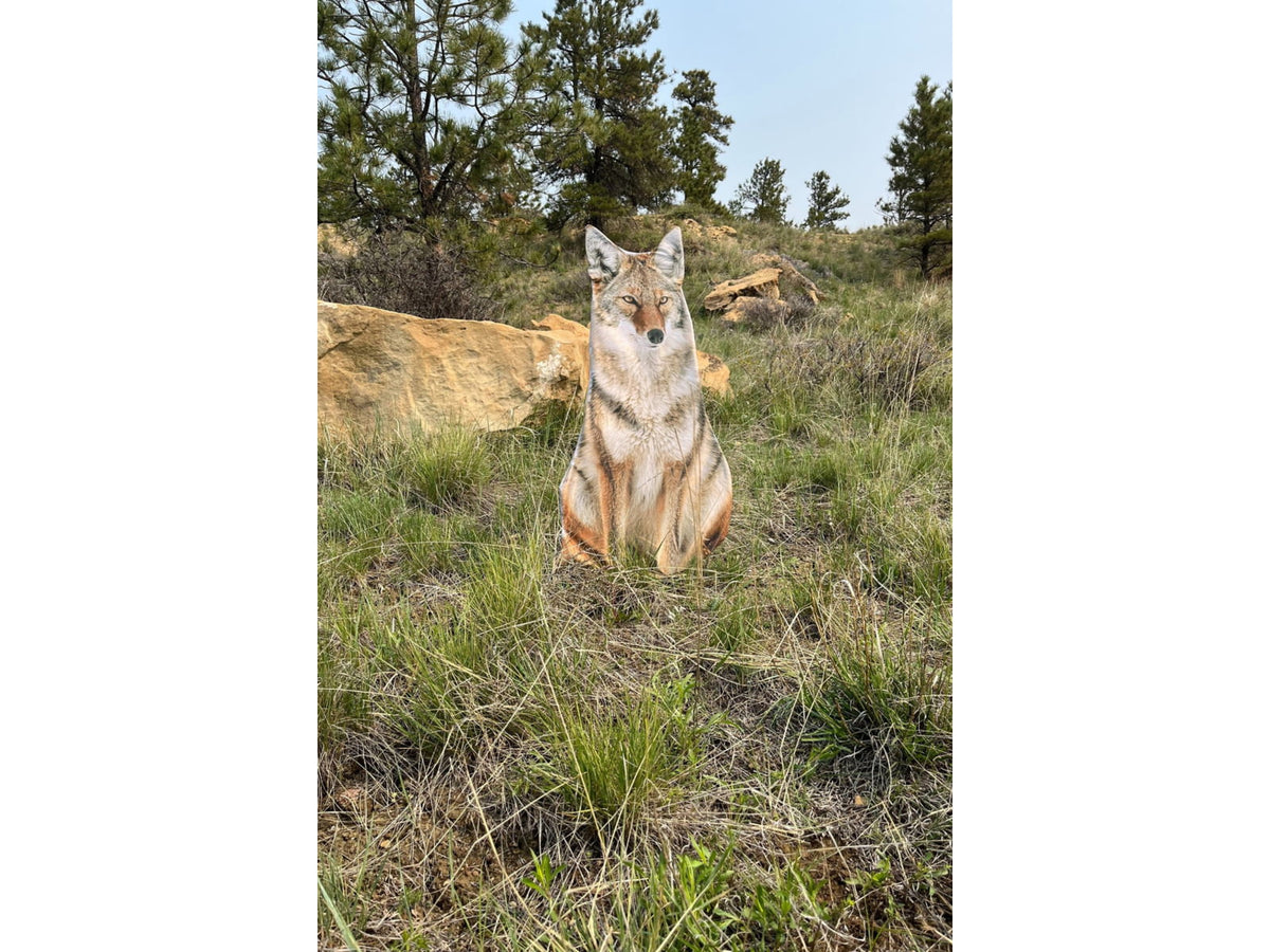 Montana Decoy Co. Sitting Coyote Decoy Multi 48
