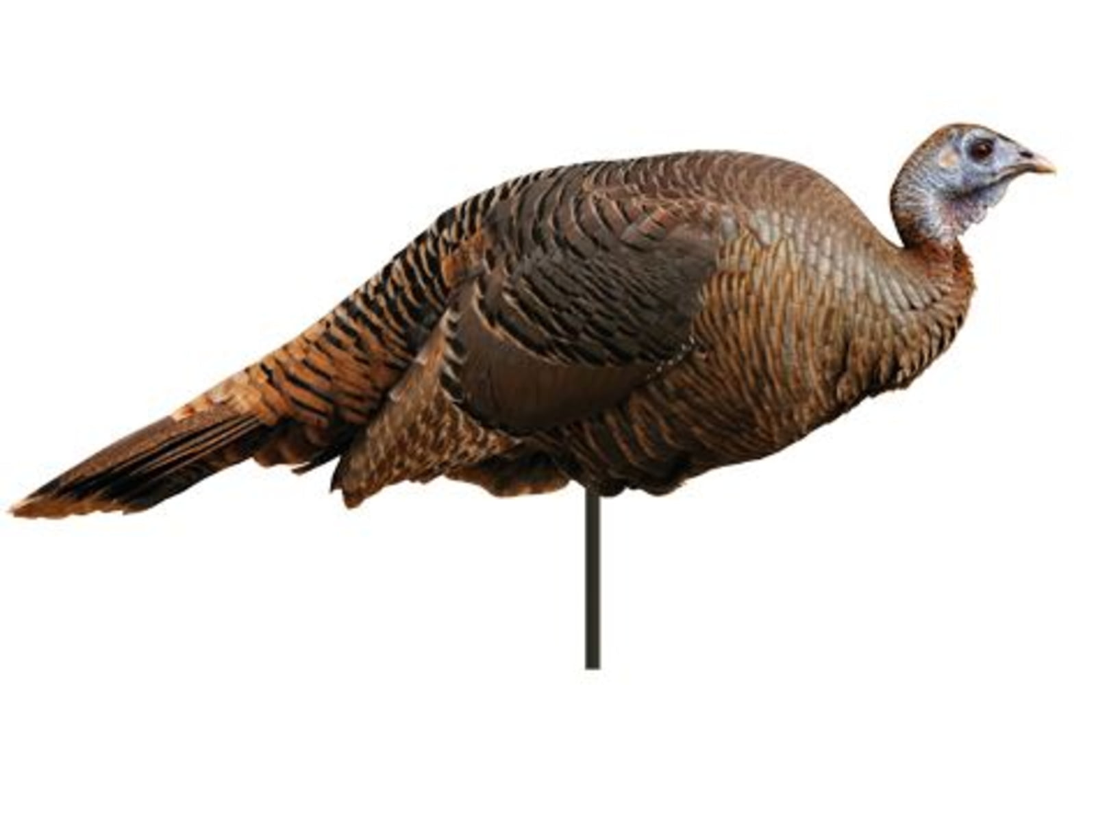 Montana Decoy Co. Spring Fling Hen Decoy Brown 42