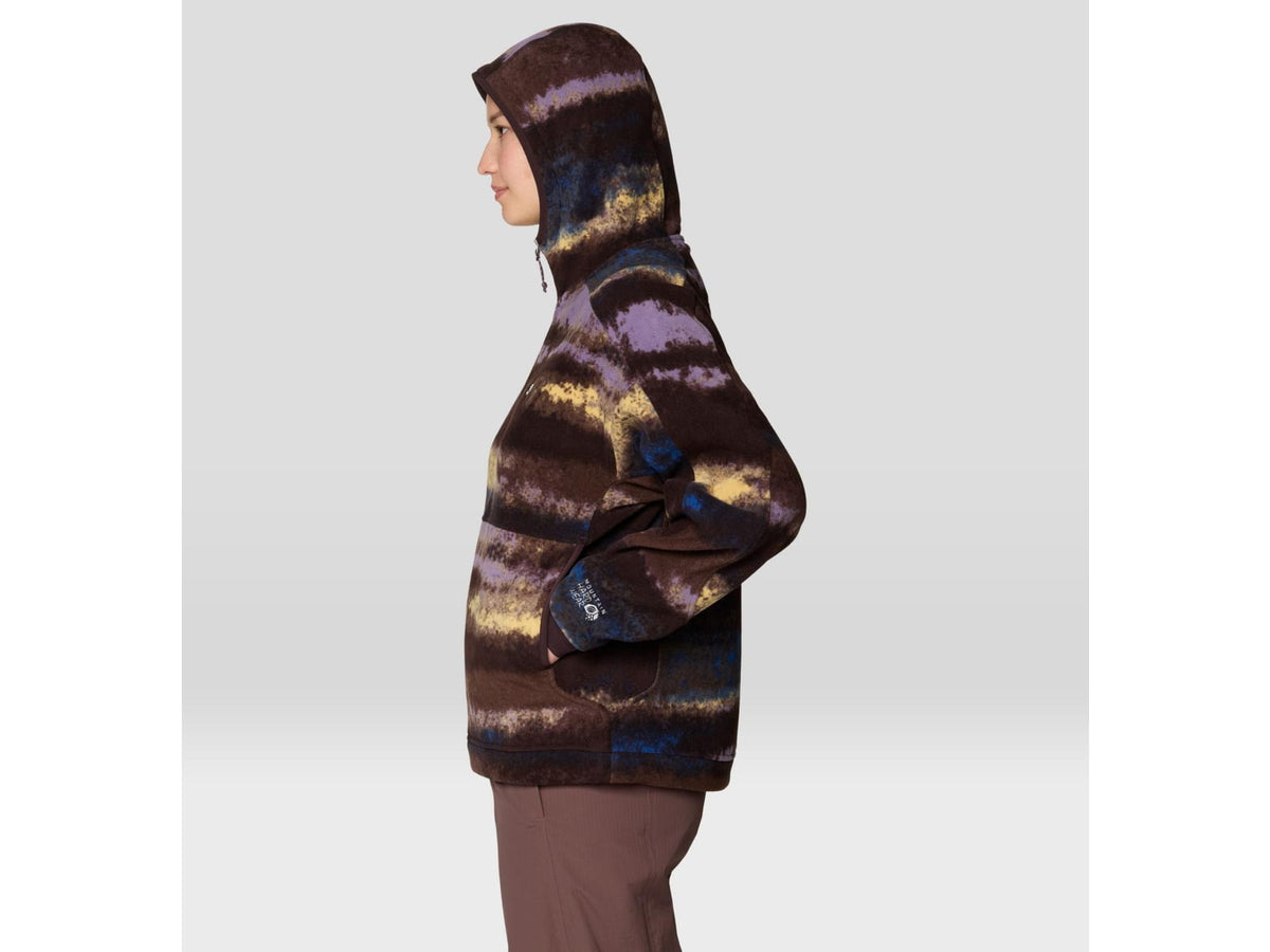 Mountain Hardwear Apres Pro Fleece Hoody - Women's