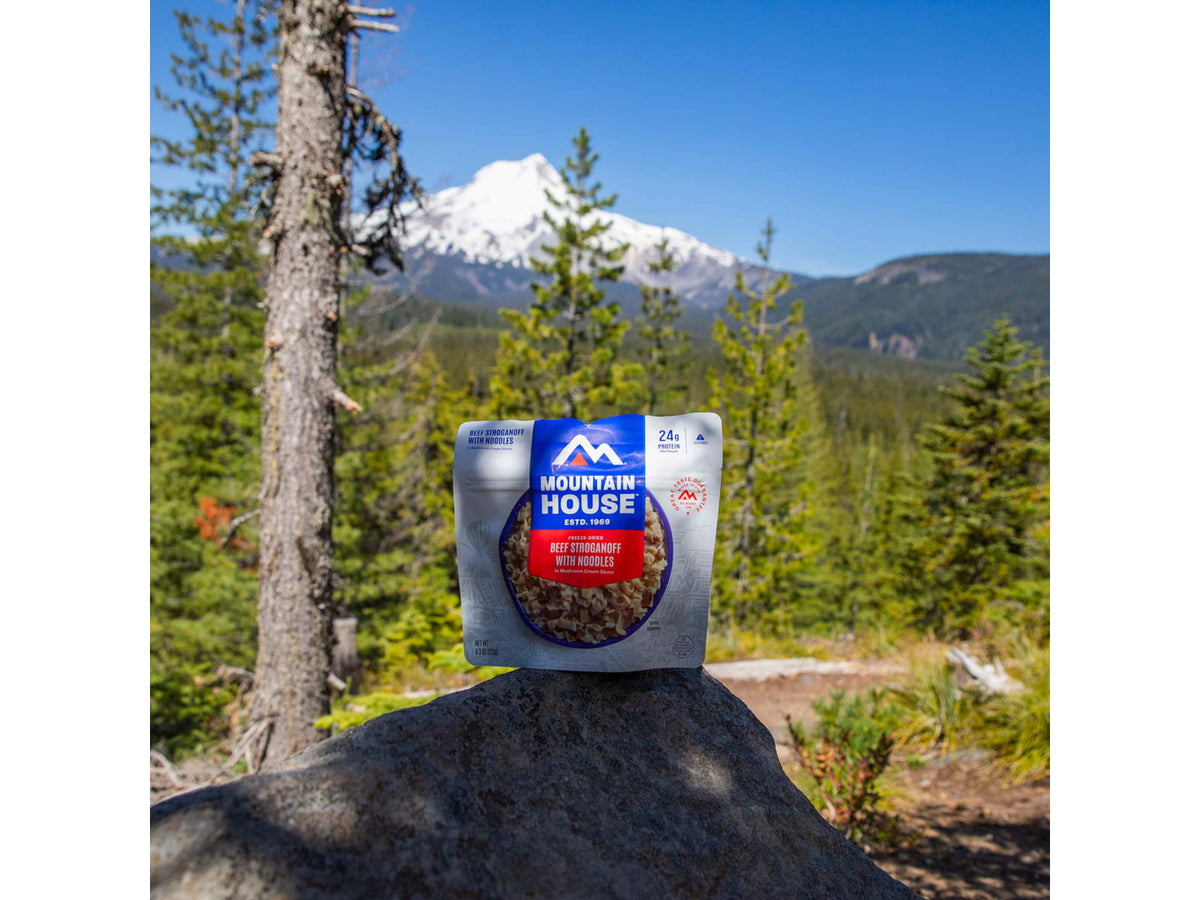 Mountain House Beef Stroganoff Pouch 2