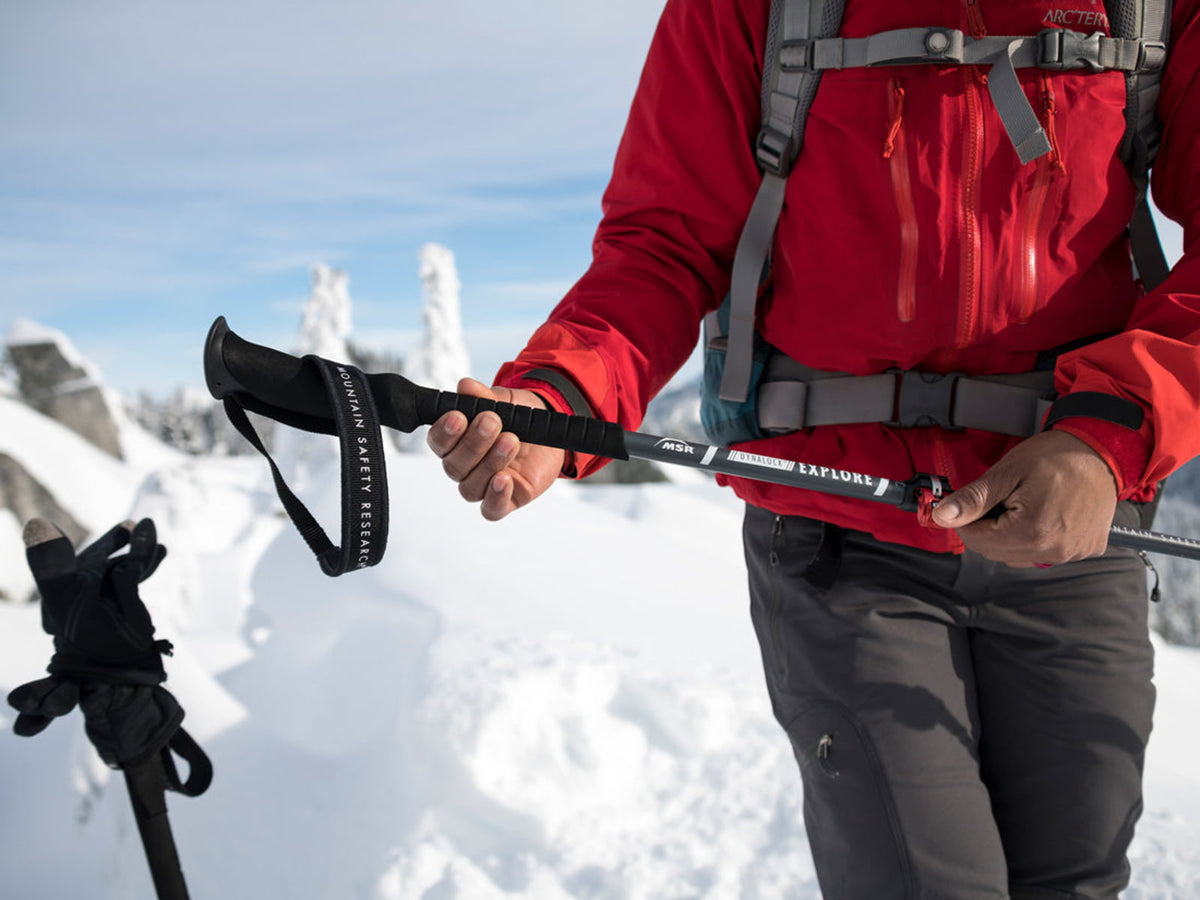 MSR DynaLock Explore Backcountry Poles Steel Gray 64-140 CM 10238