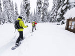 MSR DynaLock Trail Backcountry Poles White 80-140 CM 10239