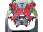 MSR RevoAscent Snowshoes - Men's