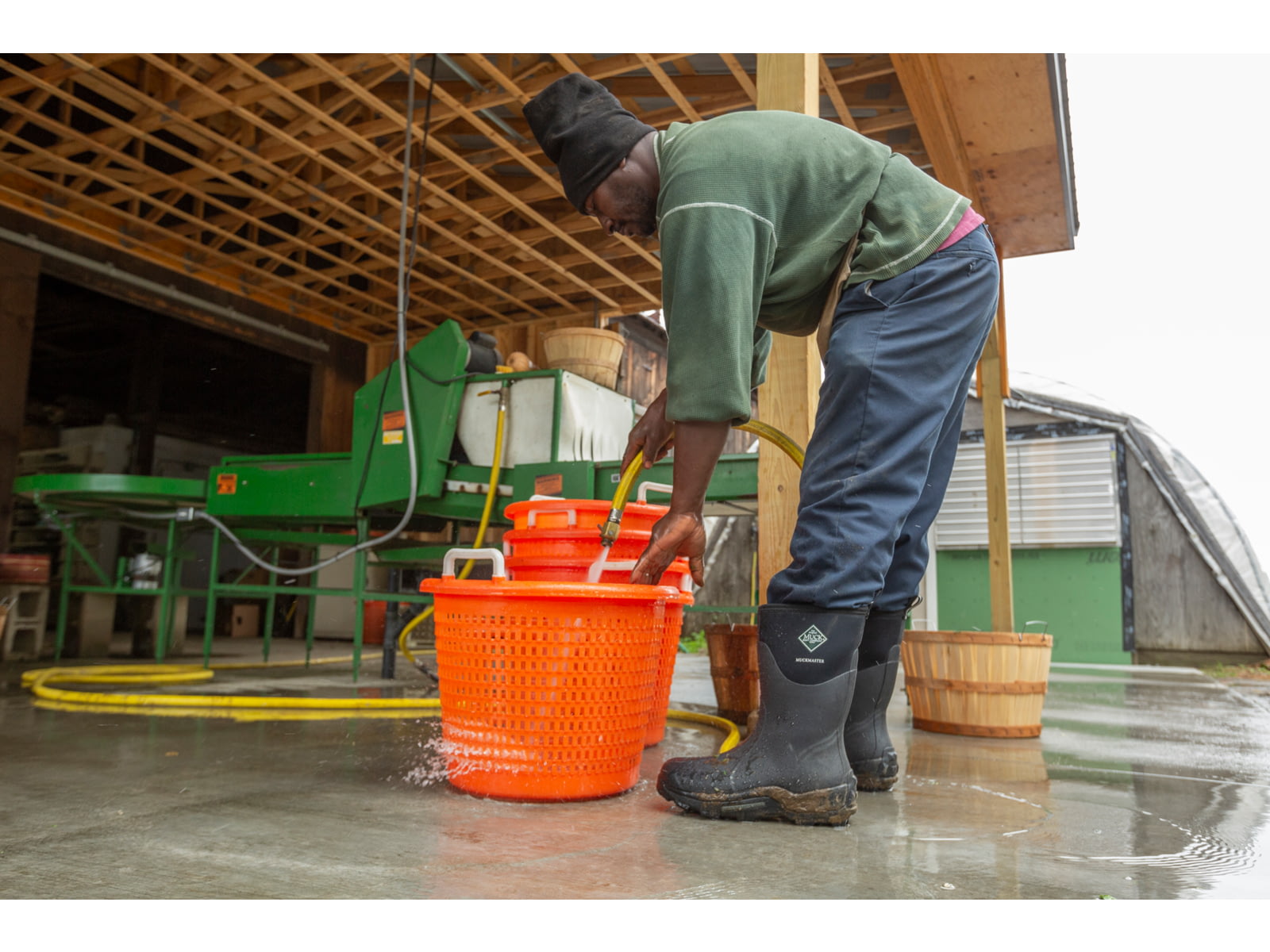 Image alt