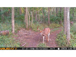 Muddy Mitigator Cellular Trail Camera Brown MUD-MTGTR