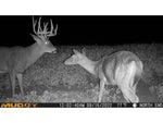 Muddy Mitigator Cellular Trail Camera Brown MUD-MTGTR