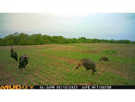 Muddy Mitigator Cellular Trail Camera Brown MUD-MTGTR