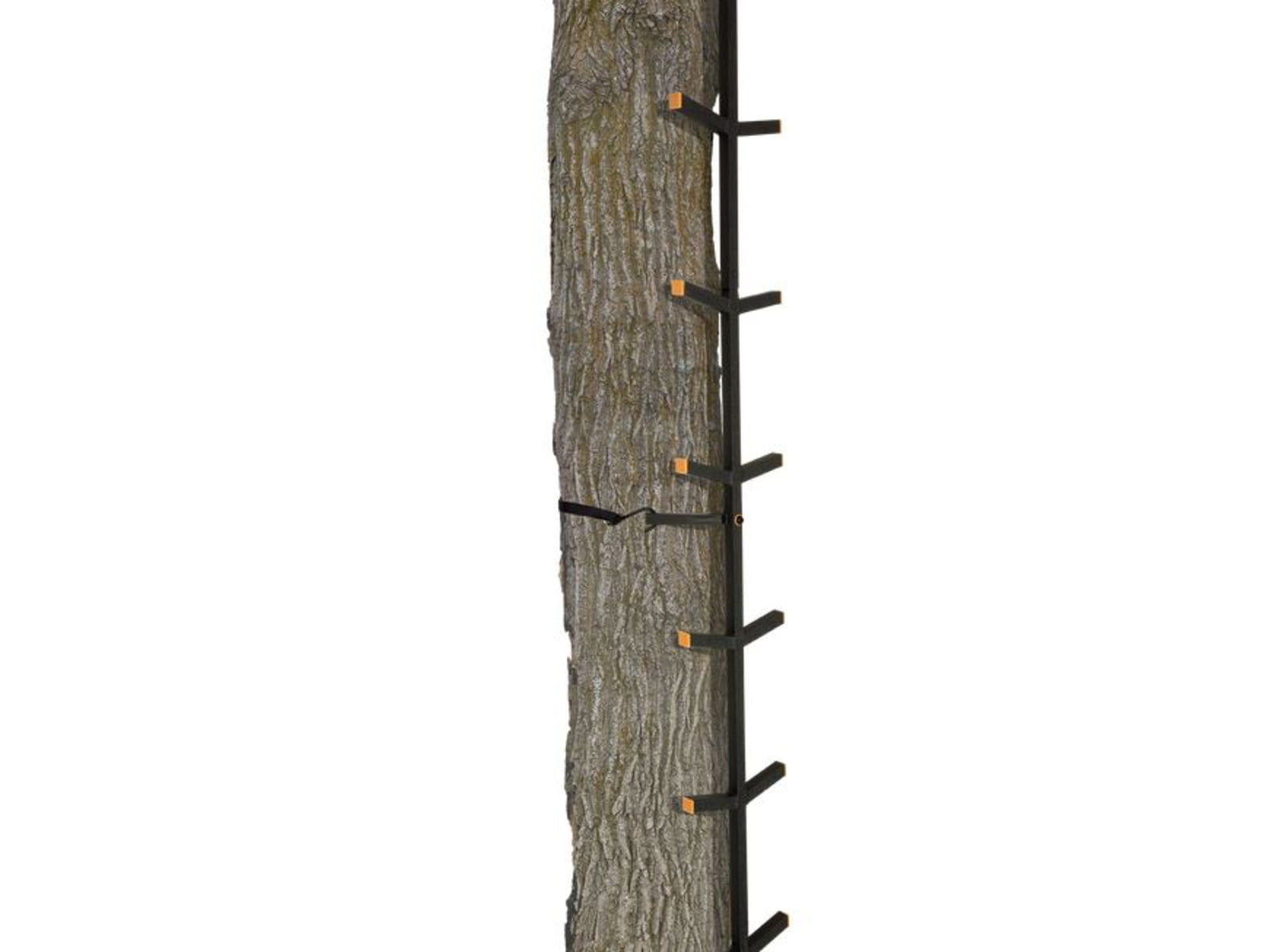 Muddy Quick Stick Xl Climbing System includes Cam buckle mounting straps Black MCS0120