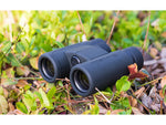 Nikon PROSTAFF P3 8X42mm Binocular Roof Prism Black