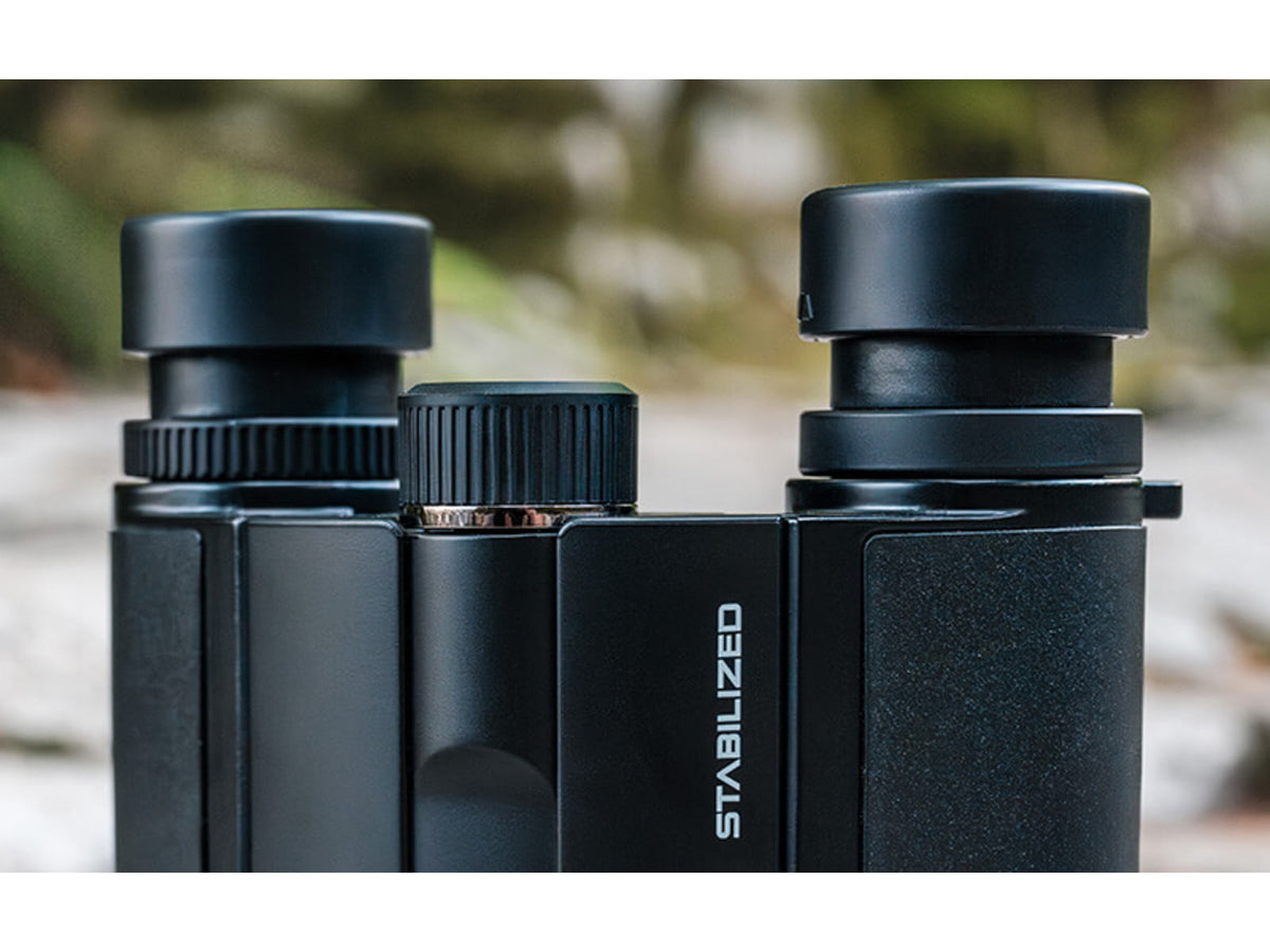 Nikon STABILIZED 10x25mm S Roof Prism Binoculars Black