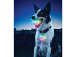 Nite Ize GlowStreak LED Ball/SpotLit Combo Disc-O GSBC-07-R7