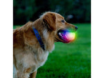Nite Ize GlowStreak Wild LED Ball Disc-O GSBW-07-R8