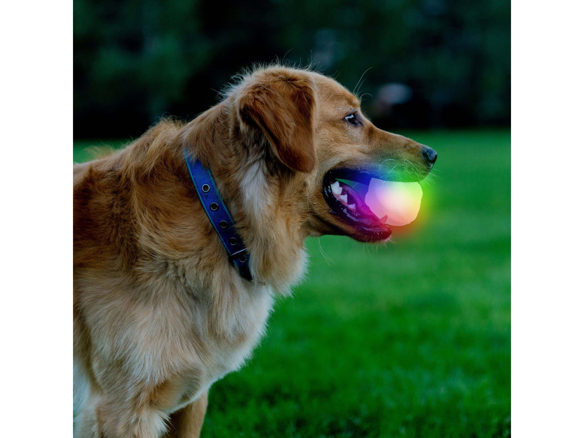 Nite Ize GlowStreak Wild LED Ball Disc-O GSBW-07-R8