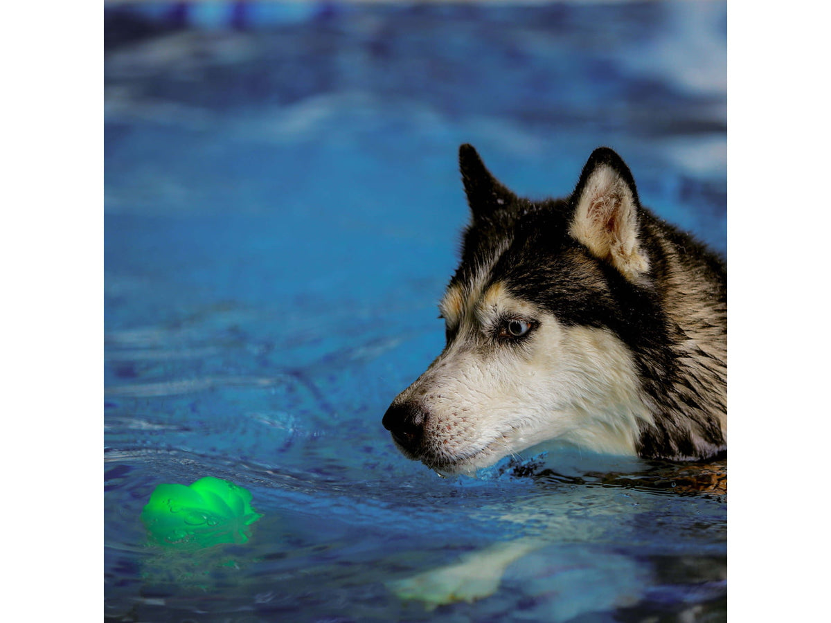 Nite Ize GlowStreak Wild LED Ball Disc-O GSBW-07-R8
