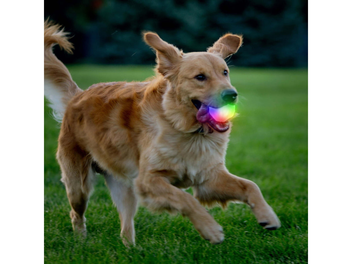 Nite Ize GlowStreak Wild LED Ball Disc-O GSBW-07-R8