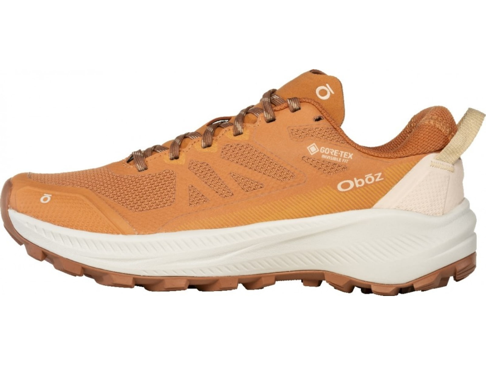 Oboz Katabatic LT Low GTX Hiking Shoes - Women's Nectar
