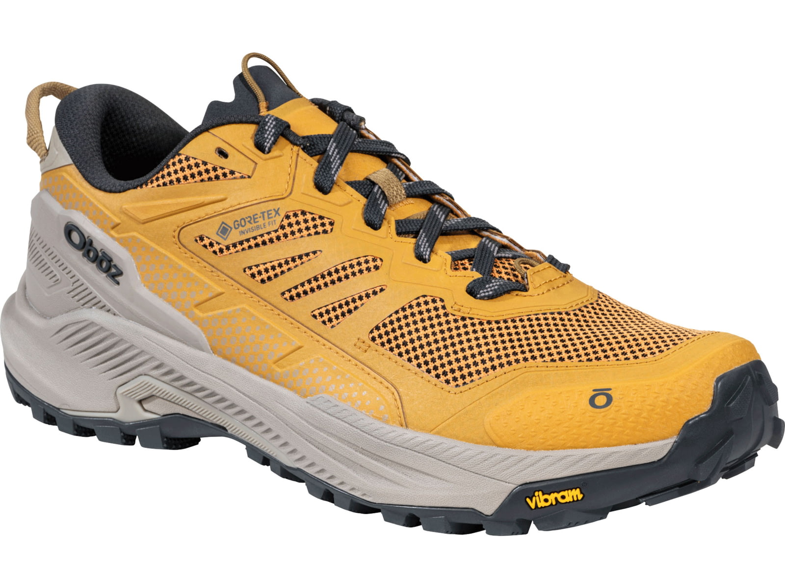 Oboz Katabatic RT Low GTX Hiking Shoes - Men's
