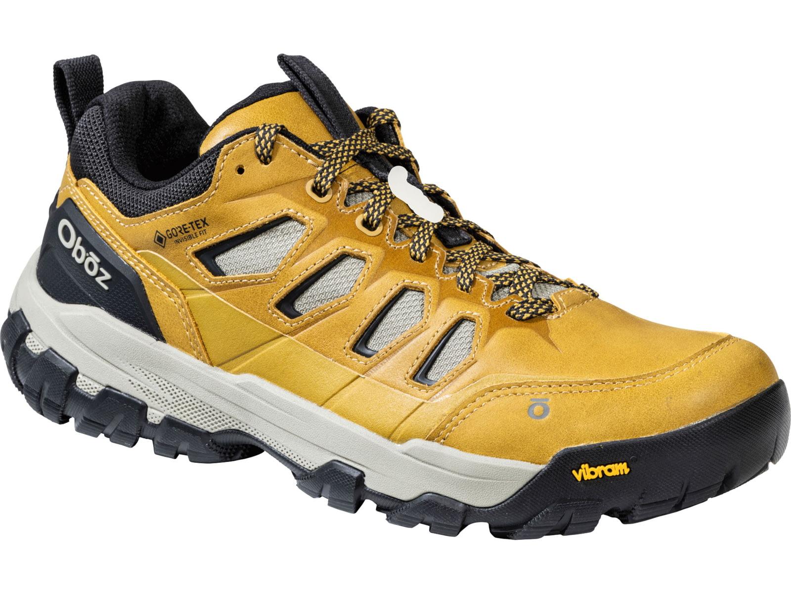 Oboz Sawtooth X Pro Low GTX Hiking Shoes - Men's