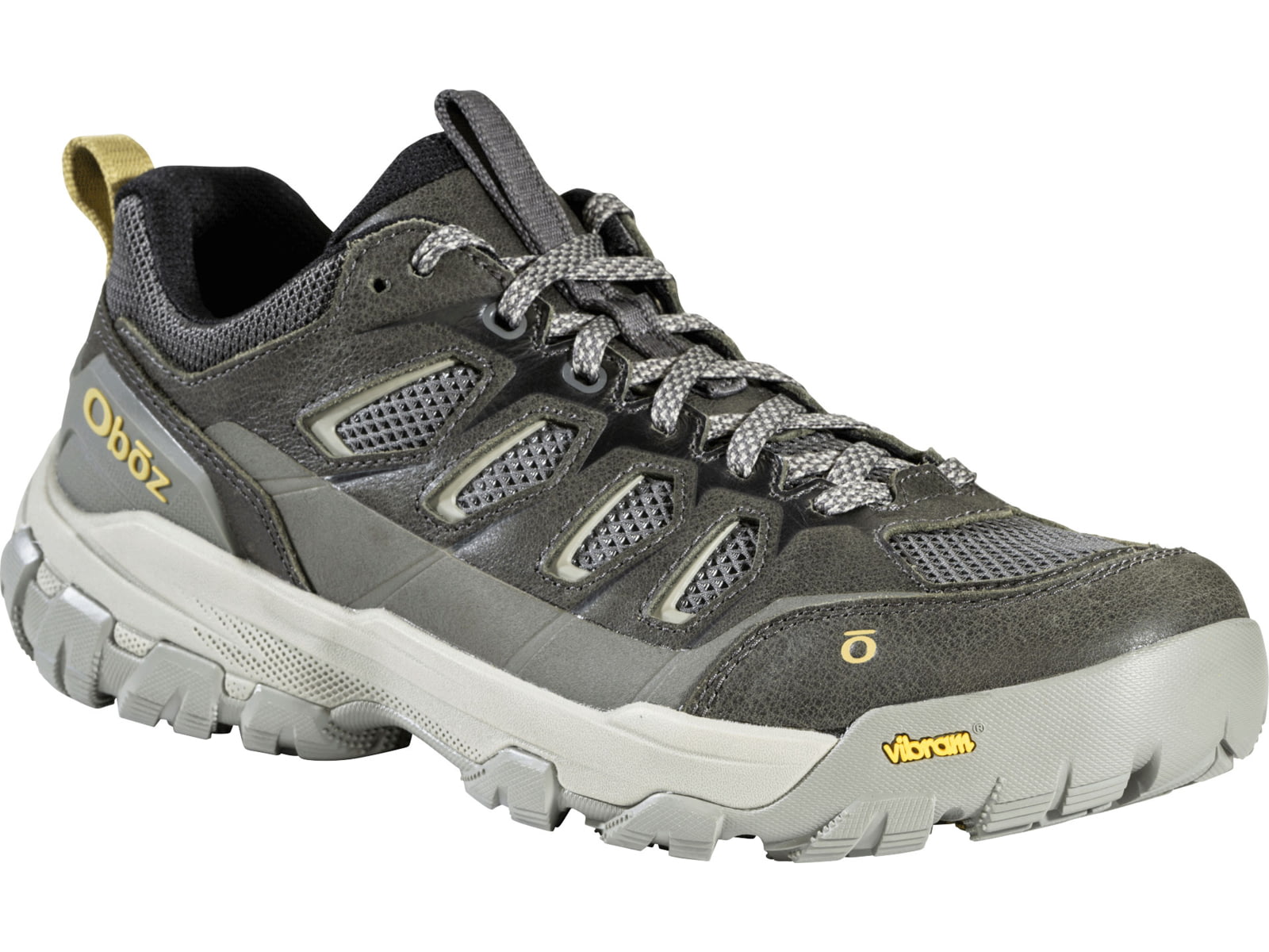 Oboz Sawtooth X Pro Low Hiking Shoes - Men's