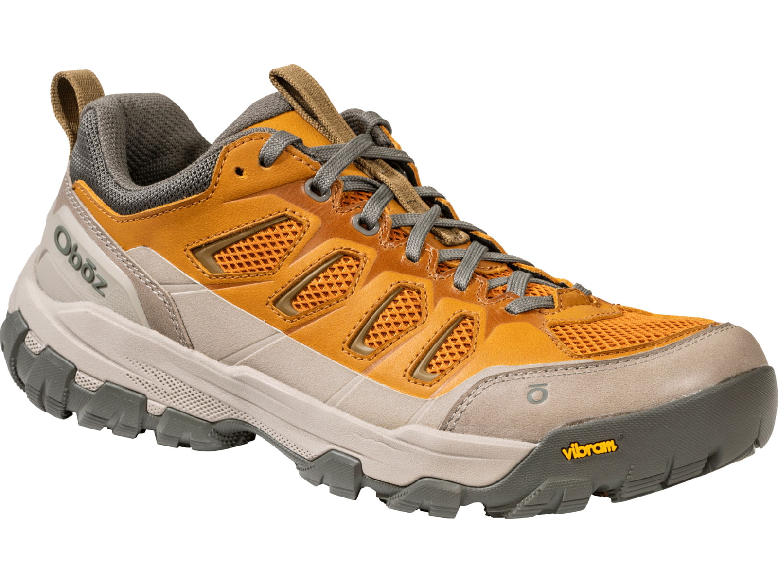 Oboz Sawtooth X Pro Low Hiking Shoes - Men's
