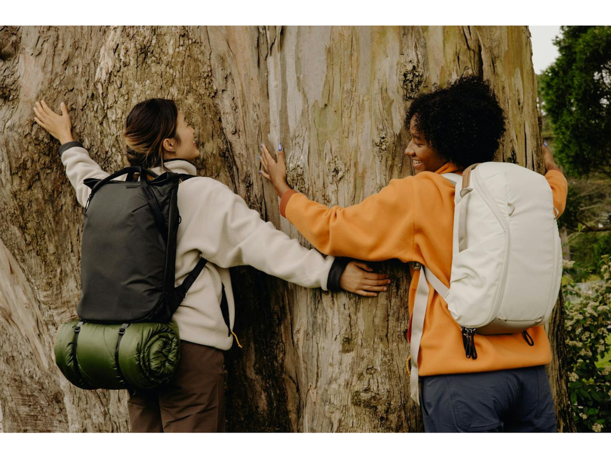 Peak Design V2 Everyday Totepack 20 Liters