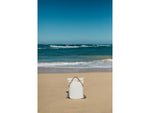 Peak Design V2 Everyday Totepack 20 Liters