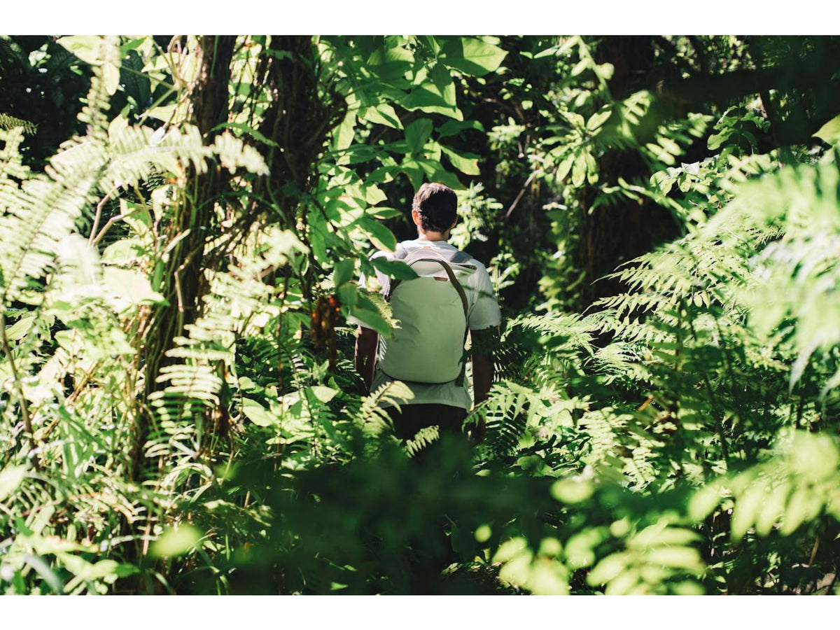 Peak Design V2 Everyday Totepack 20 Liters