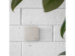 Peak Design Wall Mount Bone One Size