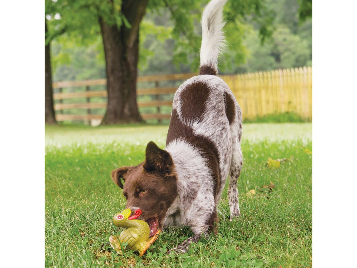 Petsafe Sportsmen Latex Meeze Turkey PTY00-15864