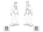 Petzl Absorbica-Y MGO International Lanyard 80 L012BB00