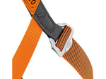 Petzl Stainless Pandion Harness One Size C029CB00