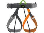 Petzl Stainless Pandion Harness One Size C029CB00