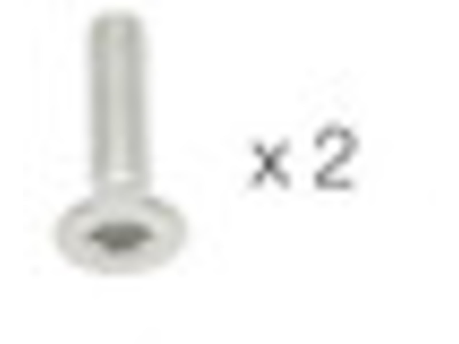 Petzl Screws for Pin Astro and Canyon Pack of 2 Grey C083CA00