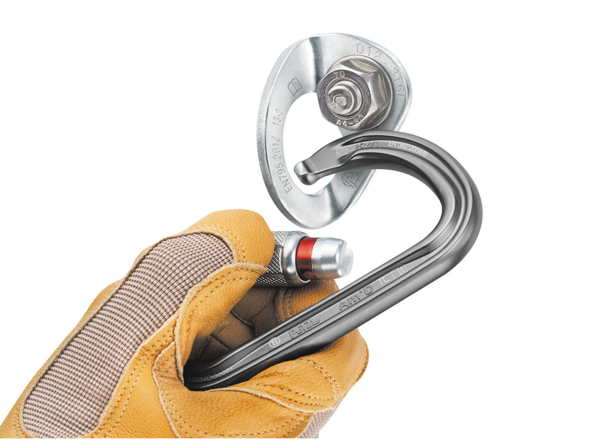 Petzl Coeur Bolt Stainless Anchors - 20 Pack