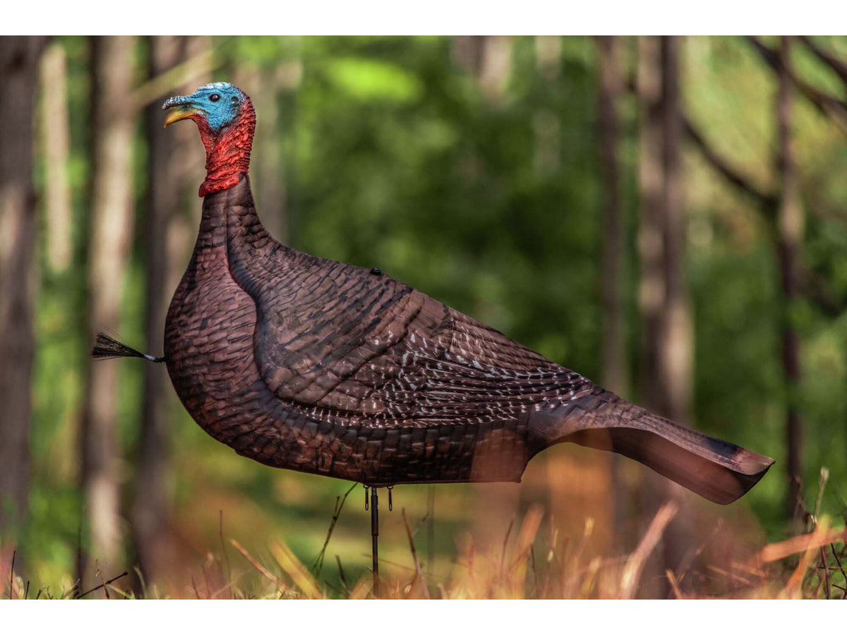 Primos Hunting Photoform Jake Decoys 69069