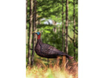Primos Hunting Photoform Jake Decoys 69069
