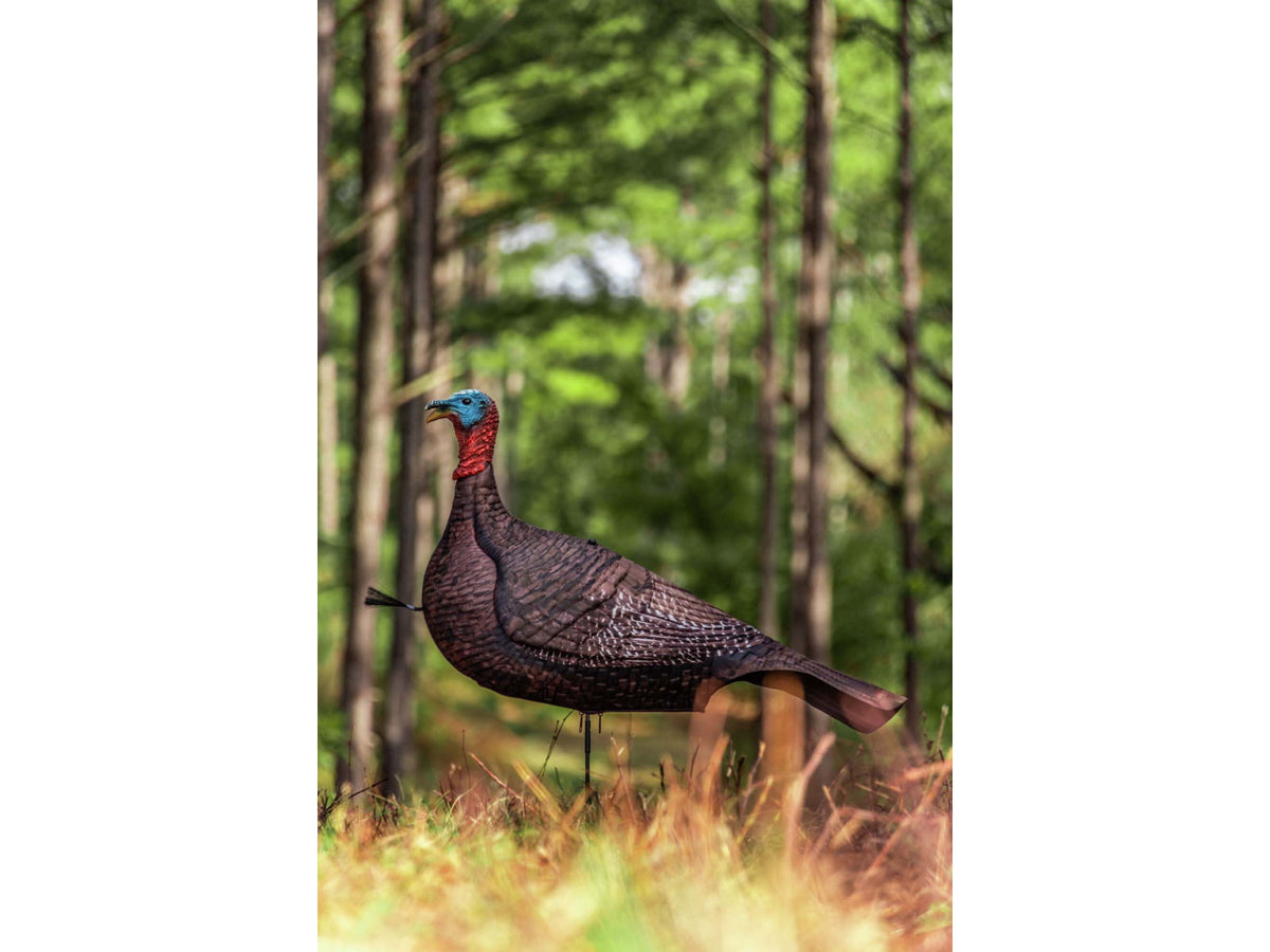 Primos Hunting Photoform Jake Decoys 69069
