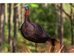 Primos Hunting Photoform Jake Decoys 69069