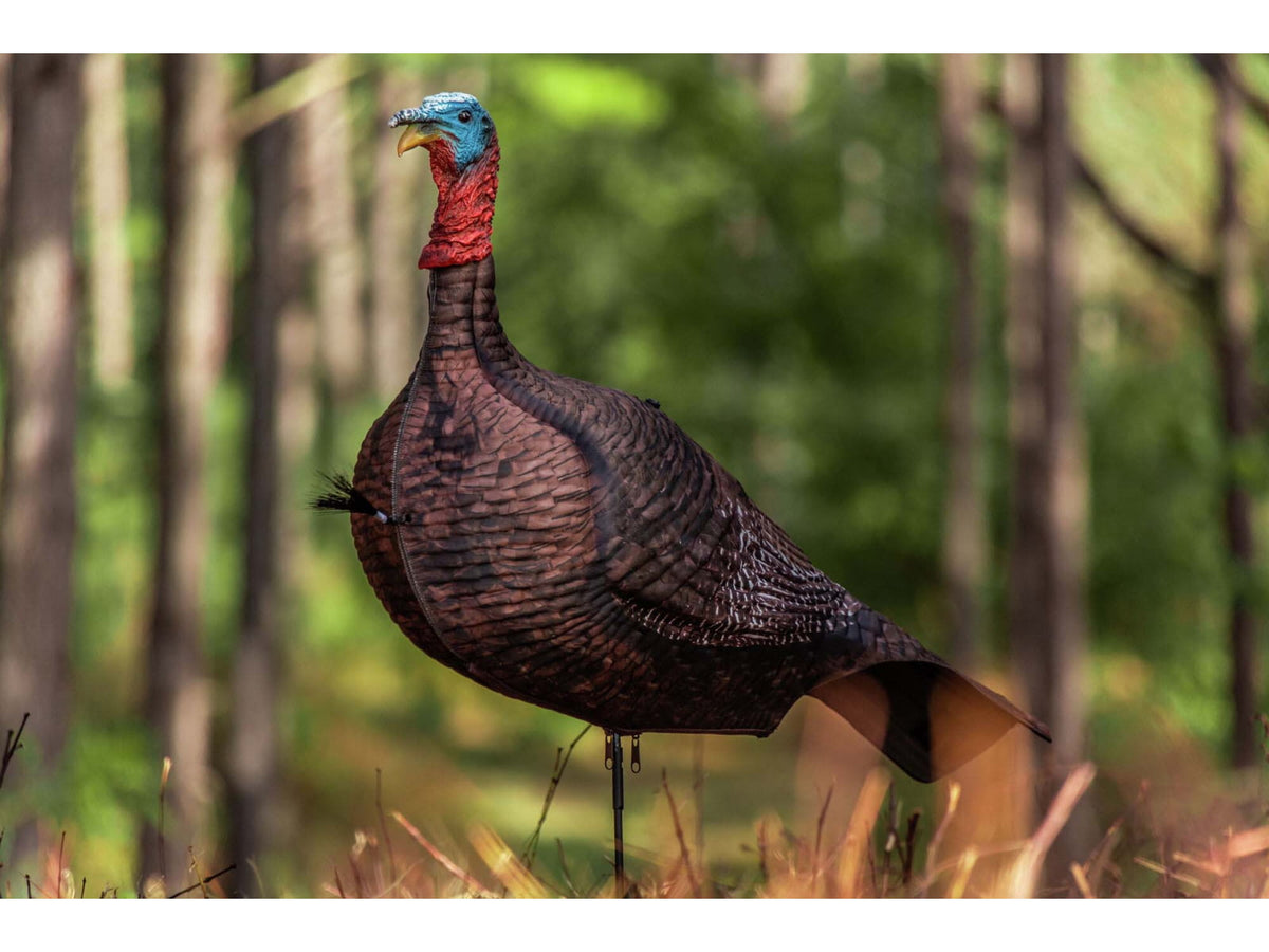 Primos Hunting Photoform Jake Decoys 69069