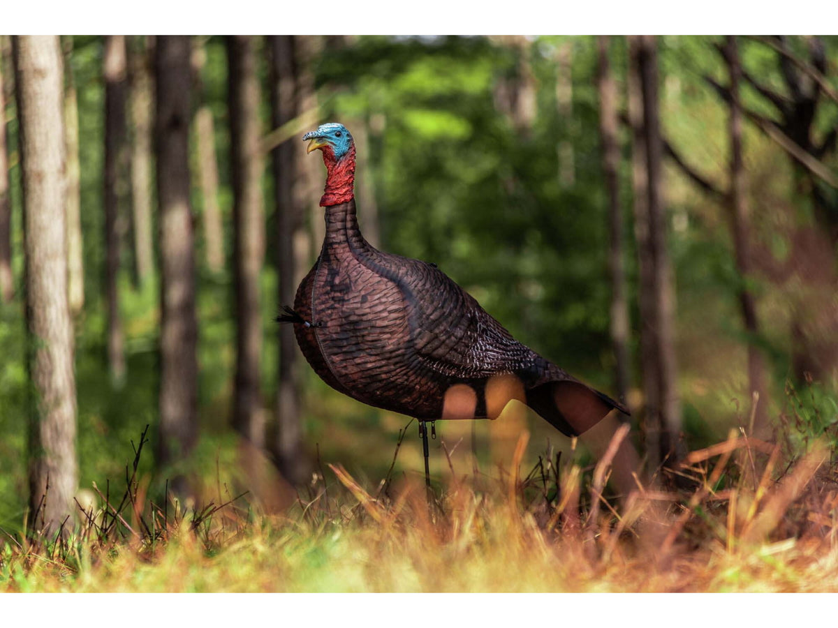 Primos Hunting Photoform Jake Decoys 69069